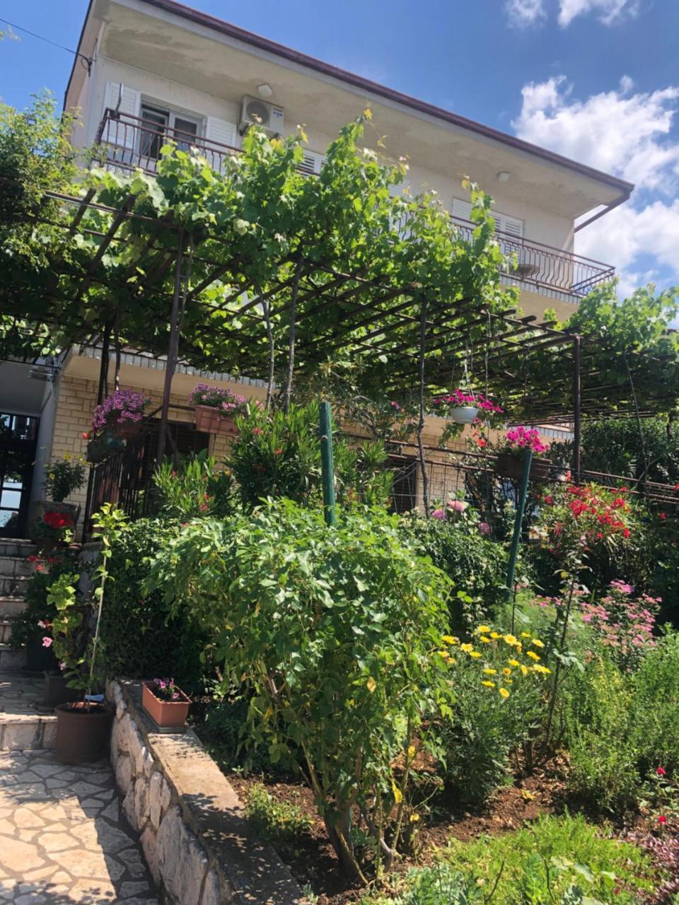 Apartman Stefanija
