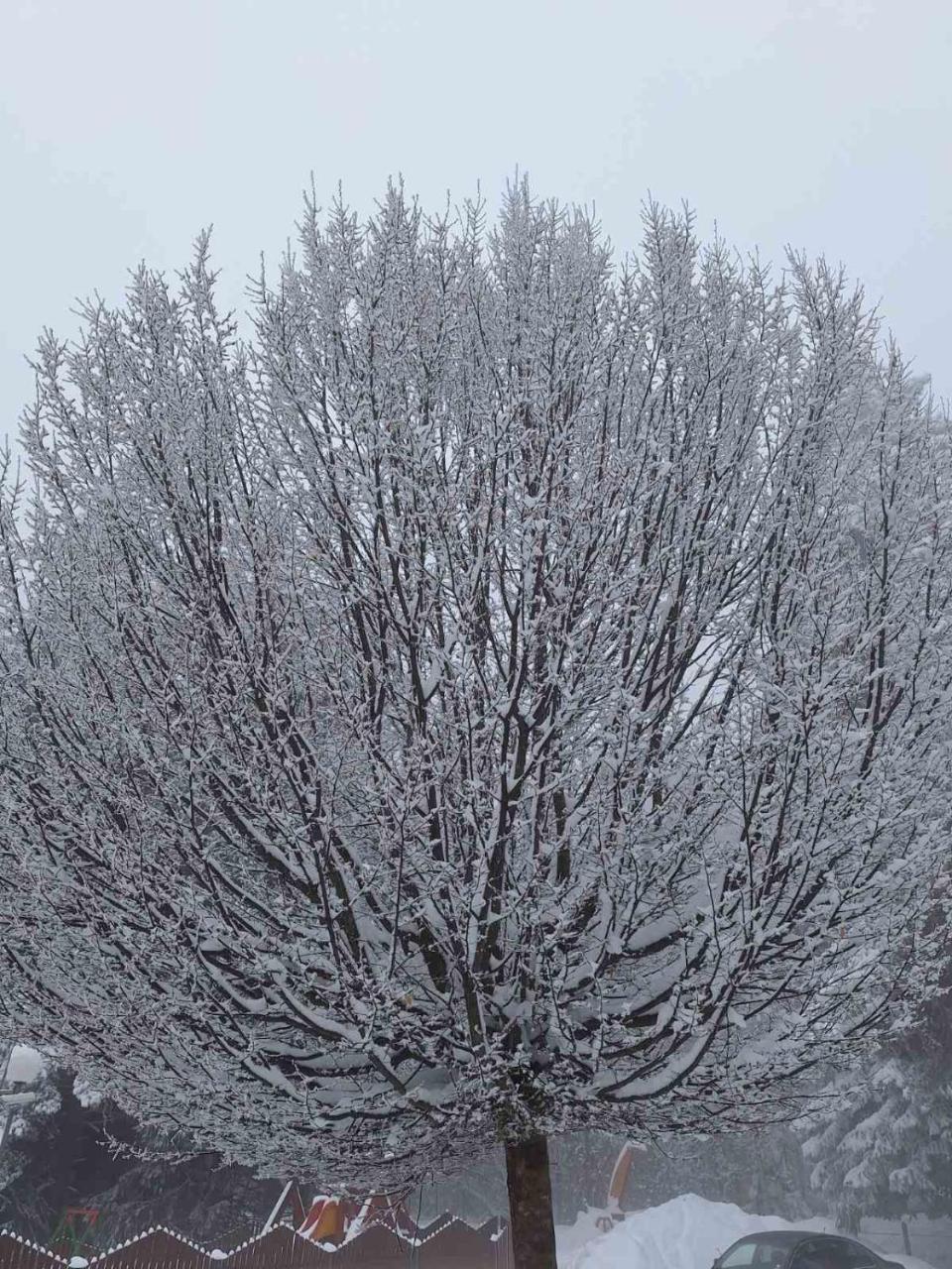 Rila Park Ap by The Slopes