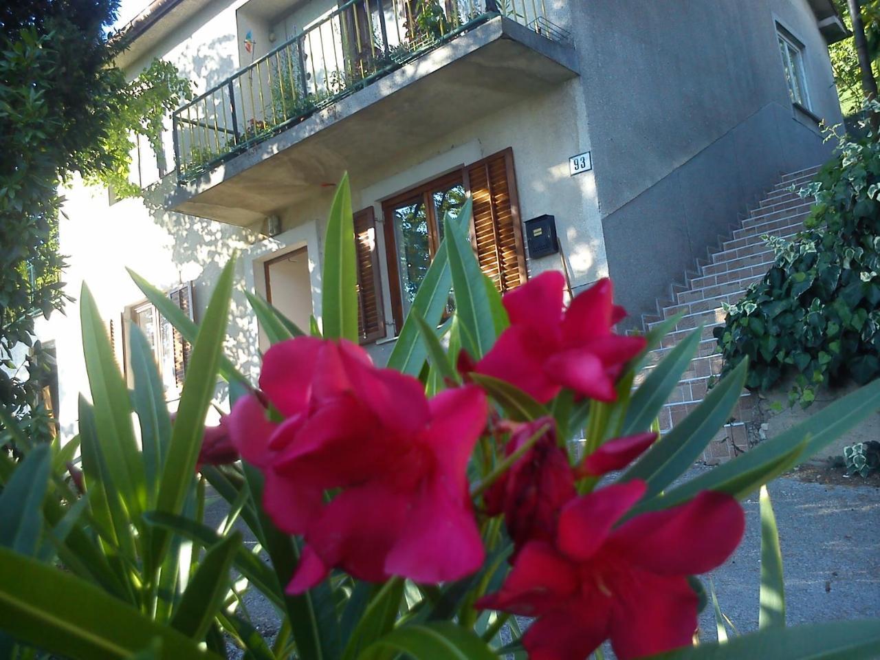 Apartman Svilno