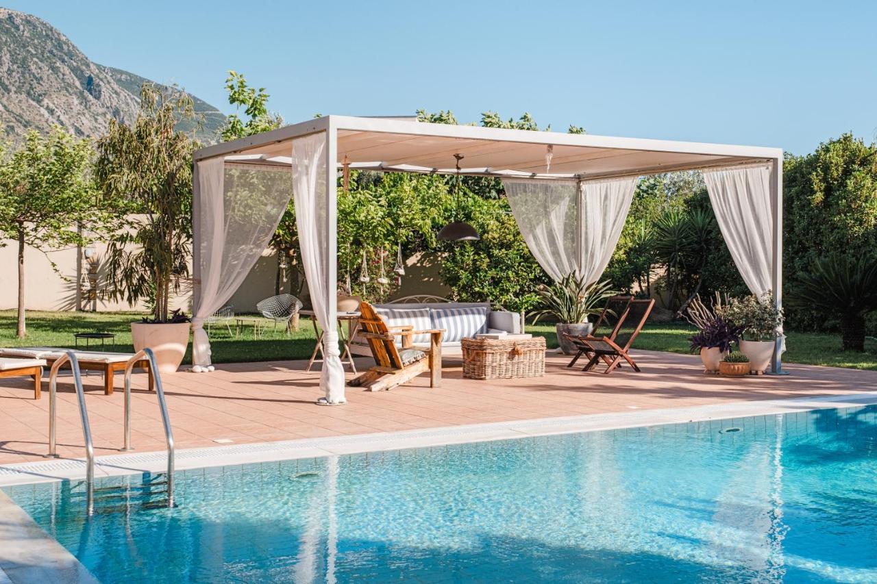 Anamnesis. Feel The Mediterranean.