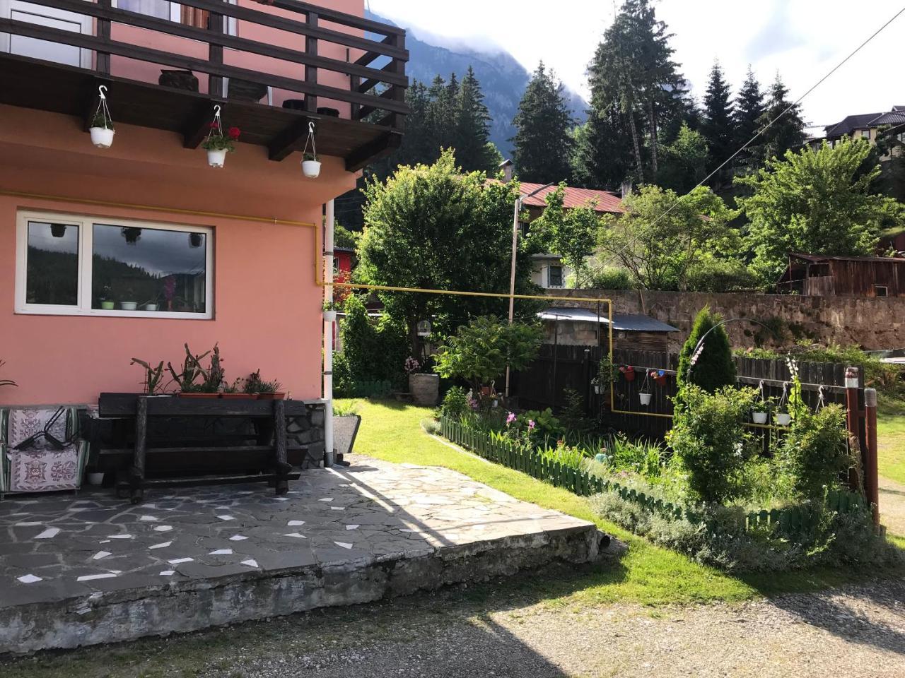 Apartament Floare de Colt