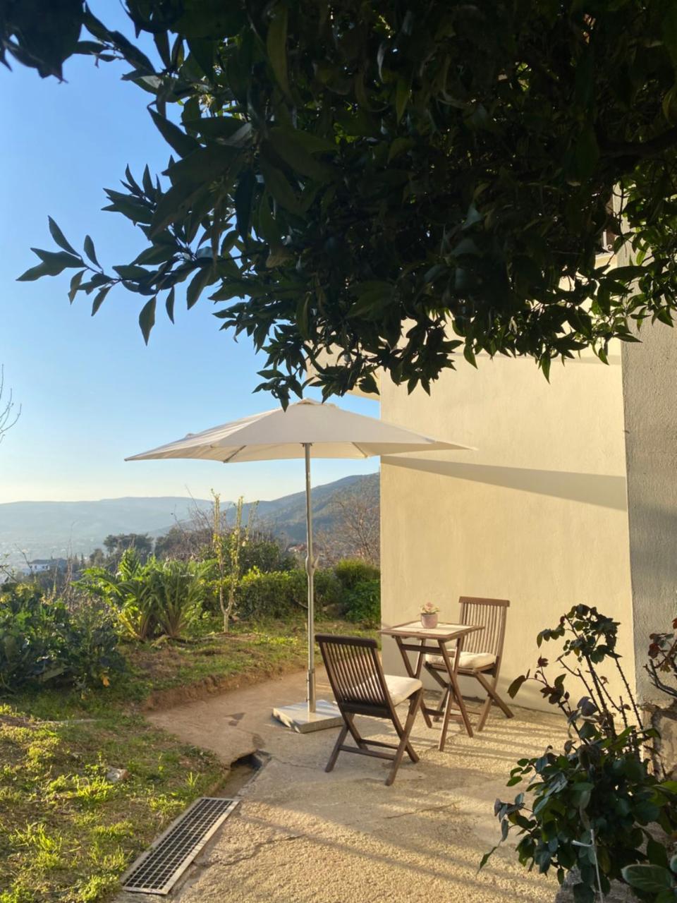 Afroditi Guest House Ano Volos