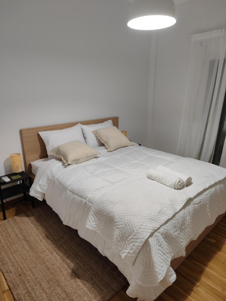 Freshly Renovated Appartment