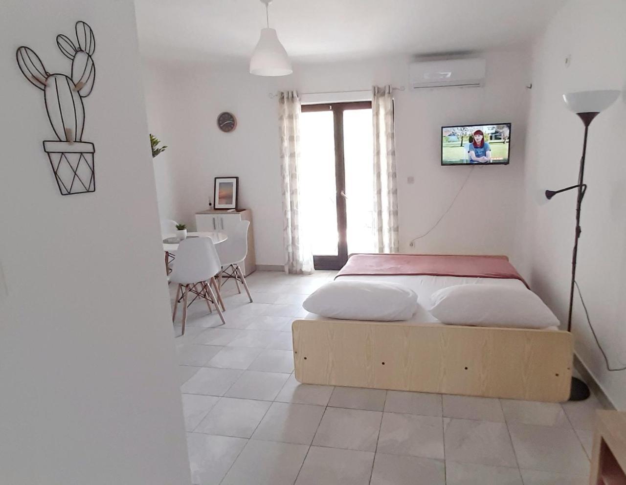 Studio Stela 3