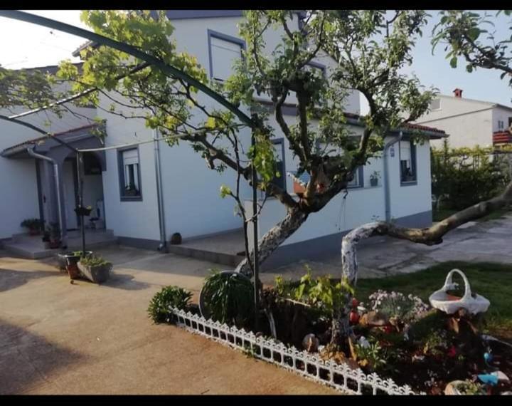 Gordana Apartments