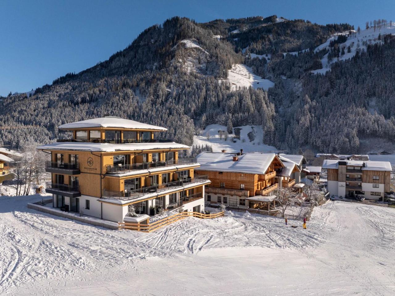 Apartment Mountain Suite Nr 101 by Interhome