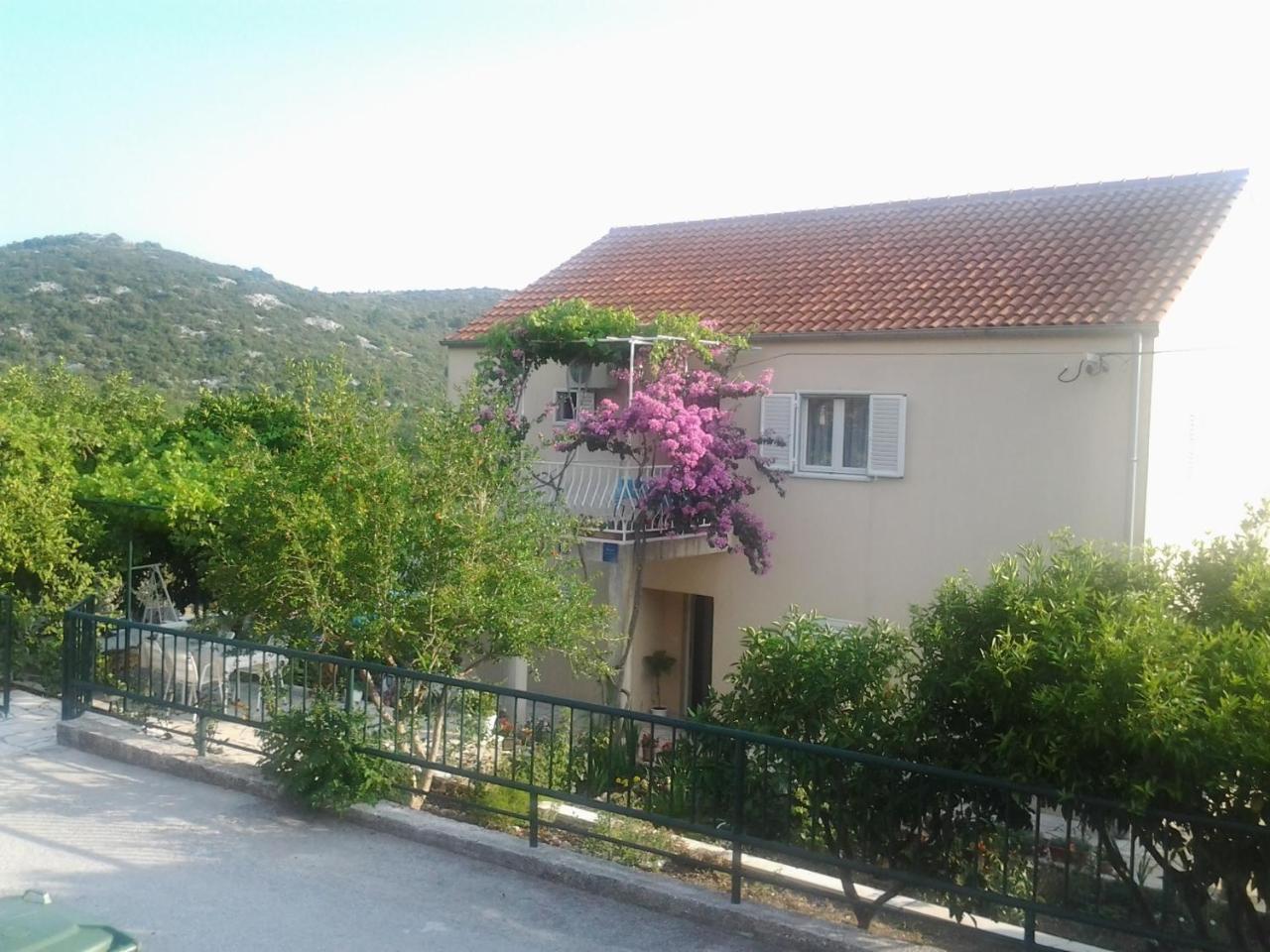 Apartments Jelic