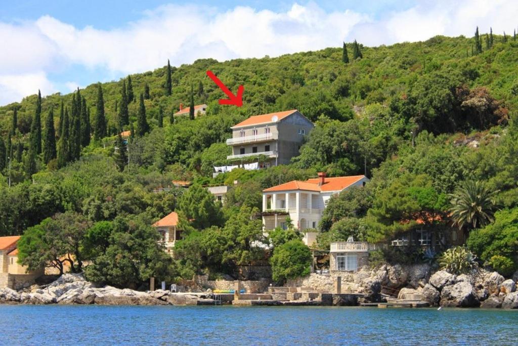 Apartments Antunovic