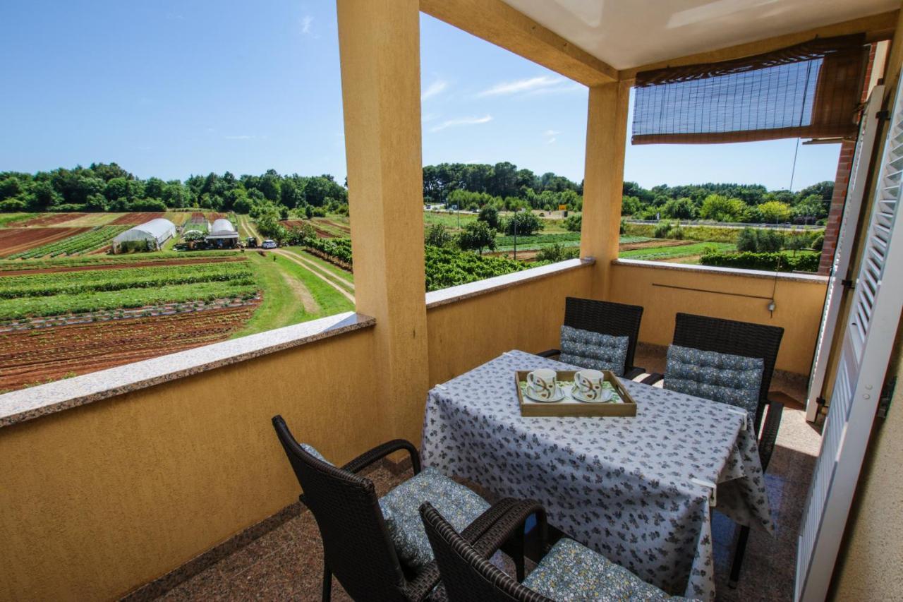 Apartment Concetta