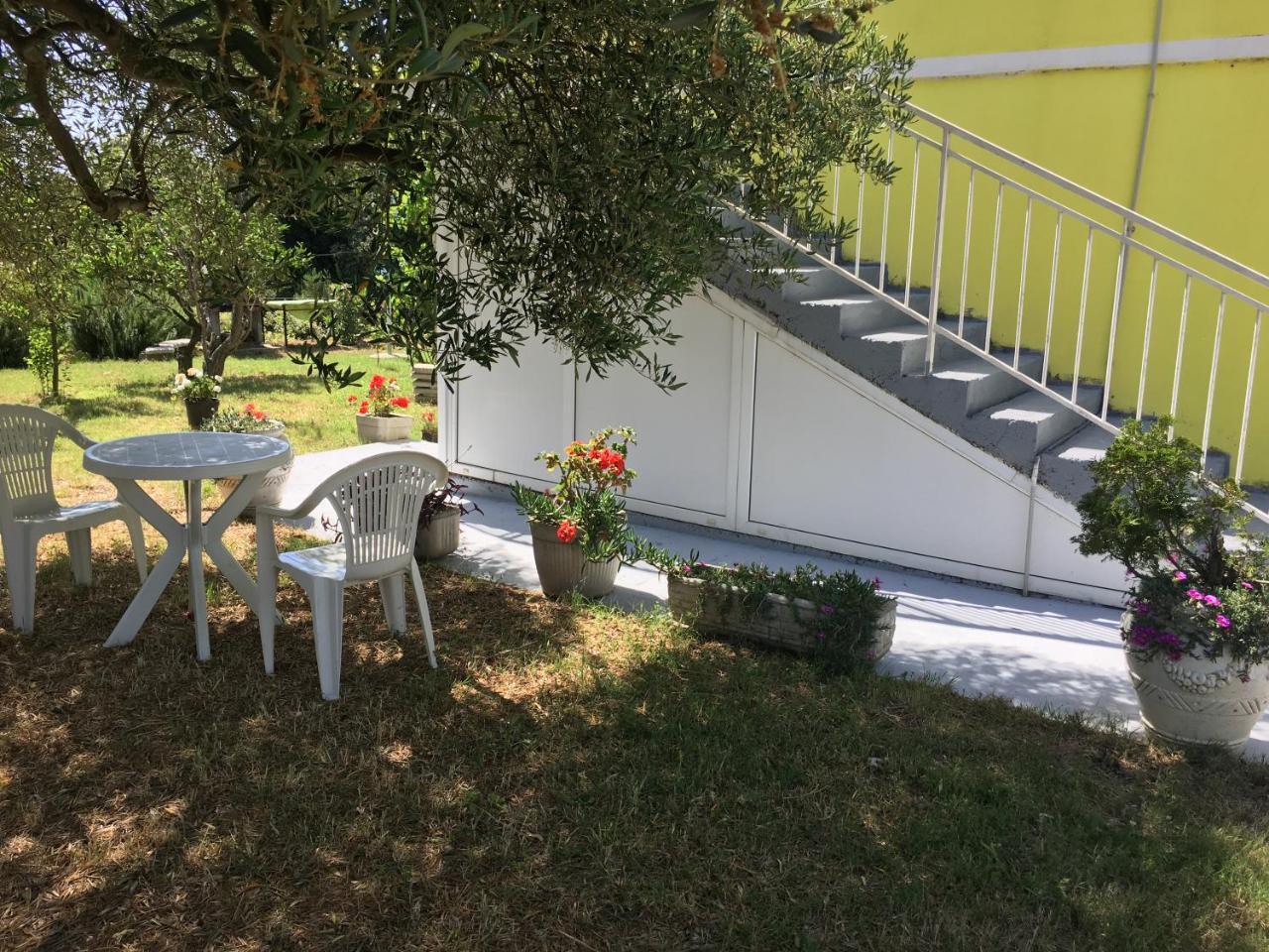 Apartments Monika Bibinje