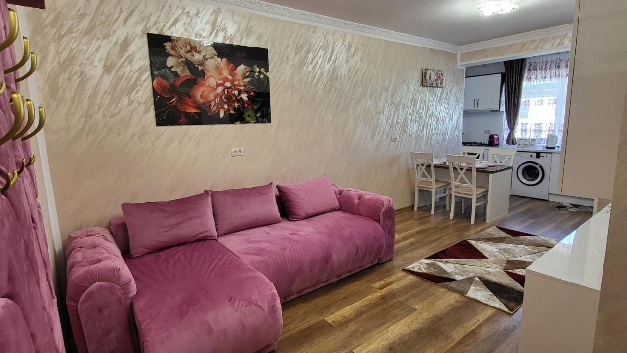 Aly Apartaments Suceava