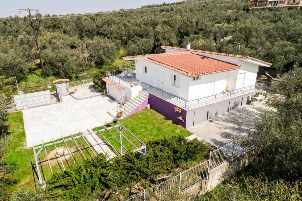 Olga's Country Villa