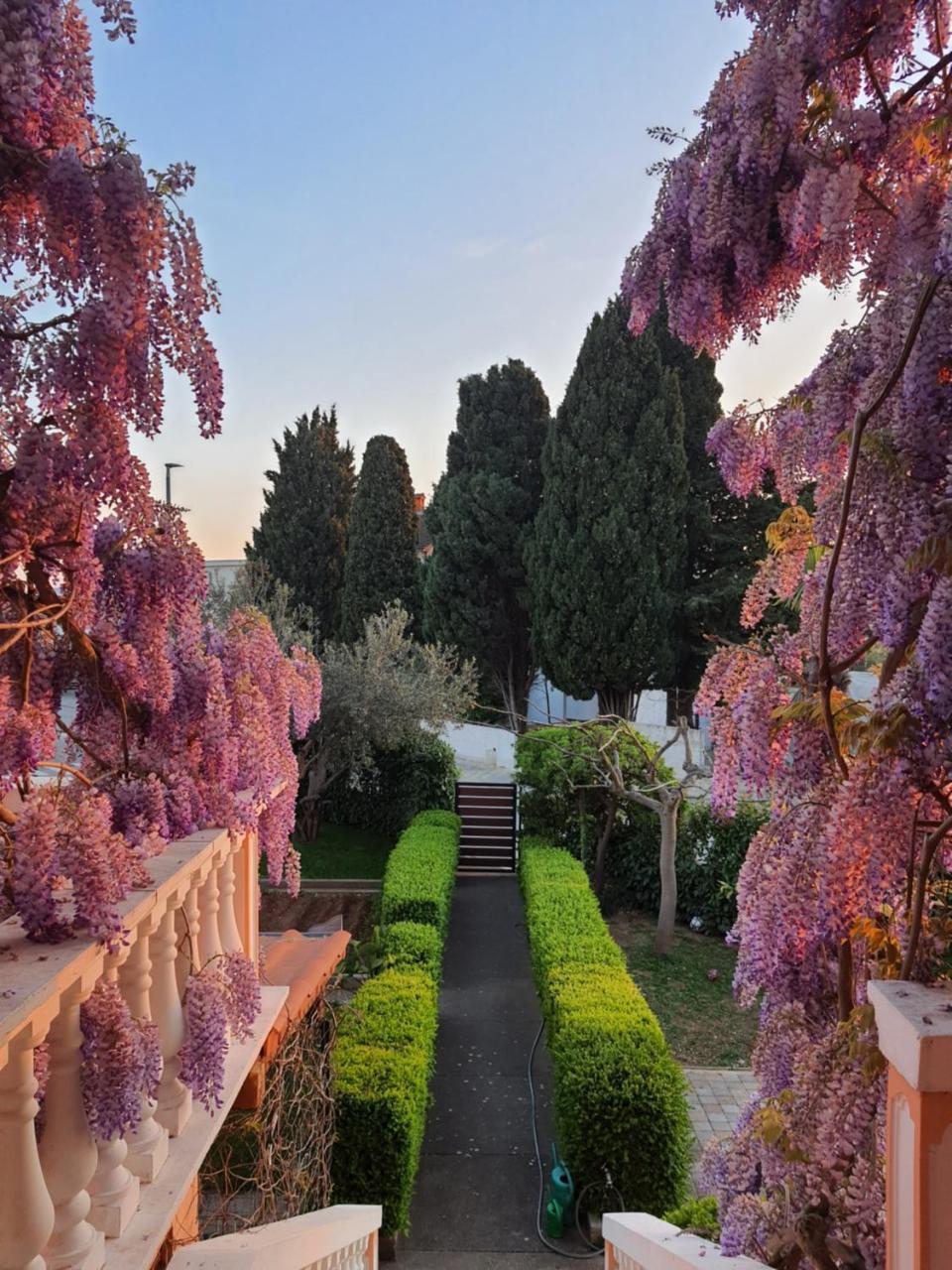 Apartments Urica Bobic