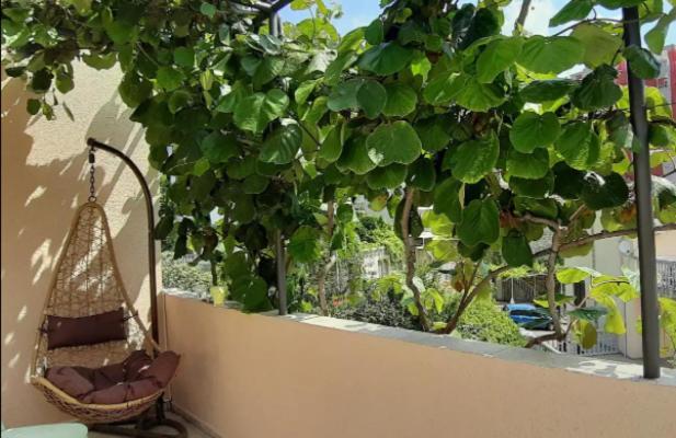 Apartments & Studios Tomanovic