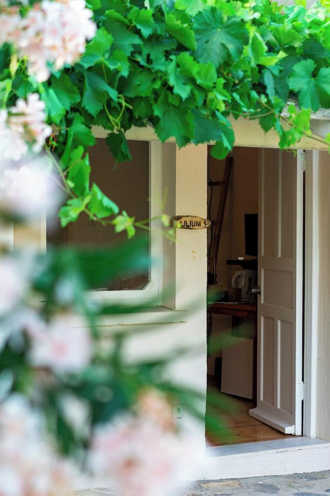 Lilium Rooms