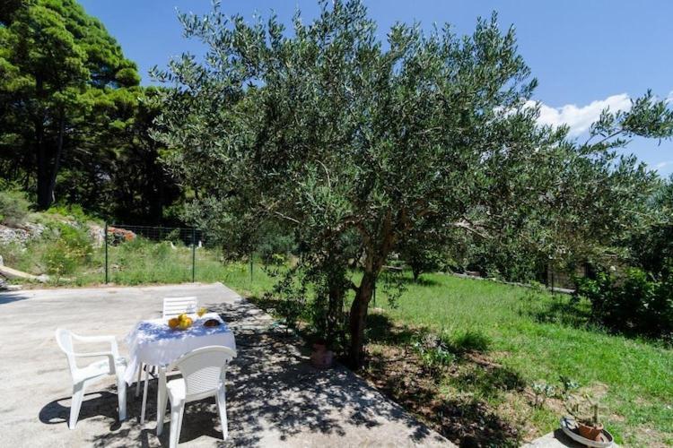 Apartments & Rooms Tapera Standard One Bedroom Apartment With Terrace & Garden View