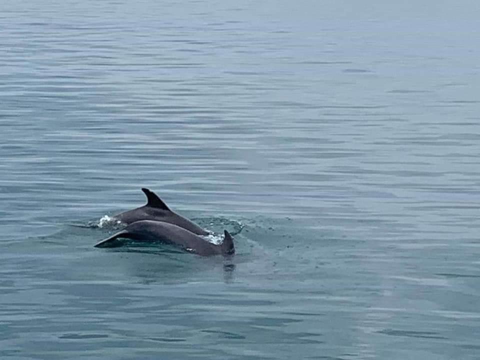 Къща За Гости Черно Море