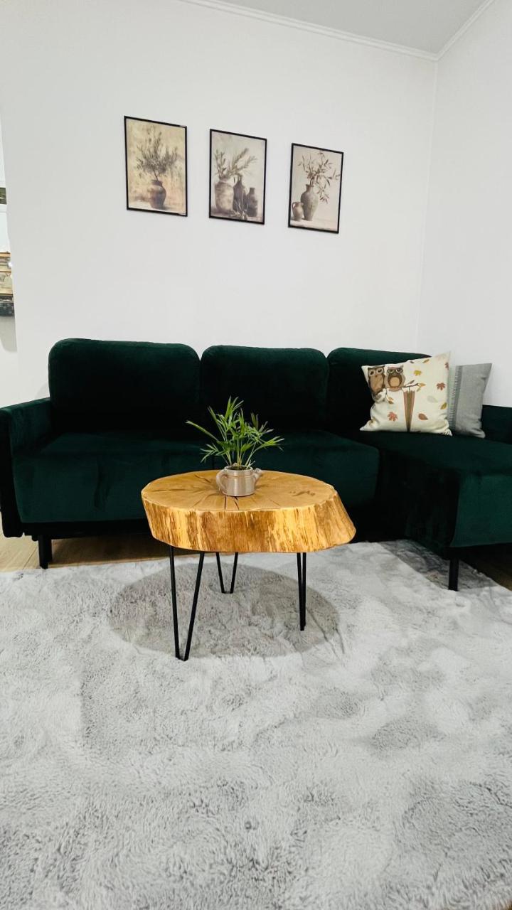 Stefan S Cozy Nest