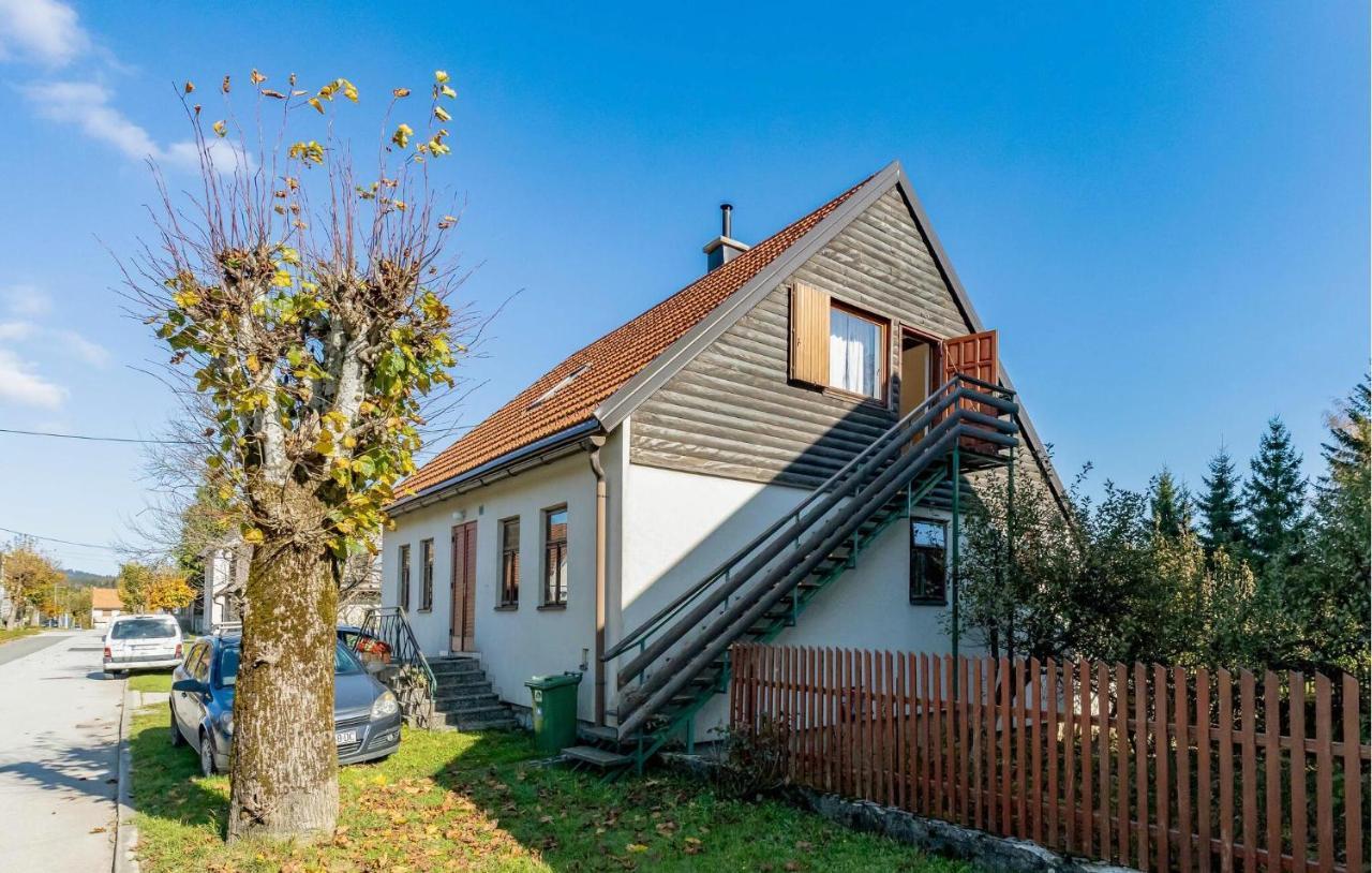 Cozy Apartment In Ravna Gora With Wifi