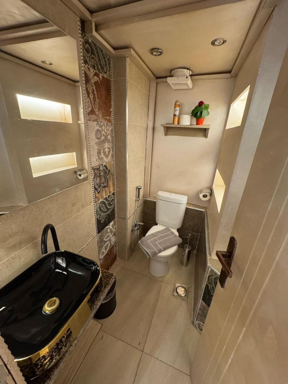 شقة رائعة تتمتع بالخصوصية في الزمالك Zamalek Luxury Flat