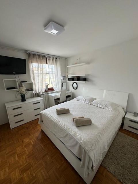 Tea Apartment Near Arena