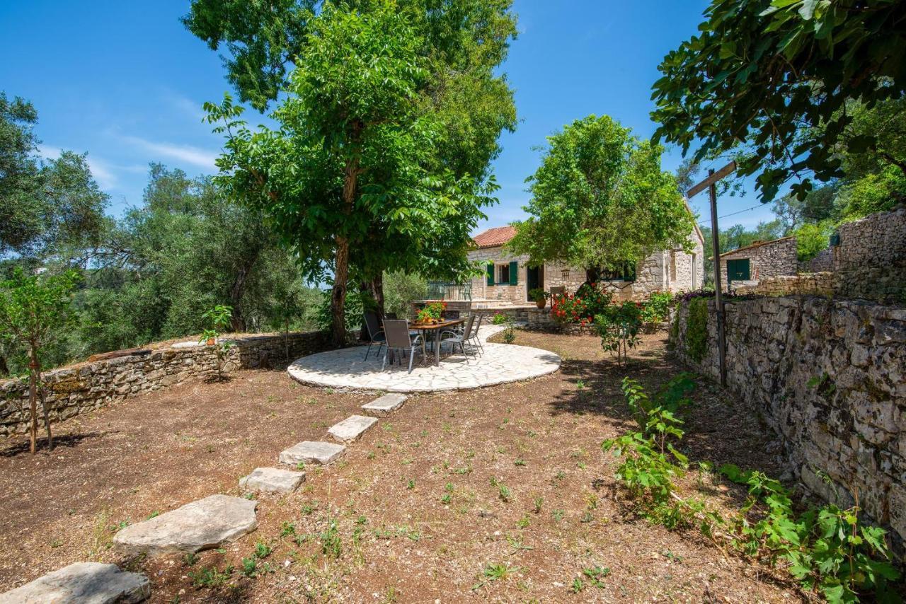 The Old One by All About Paxos