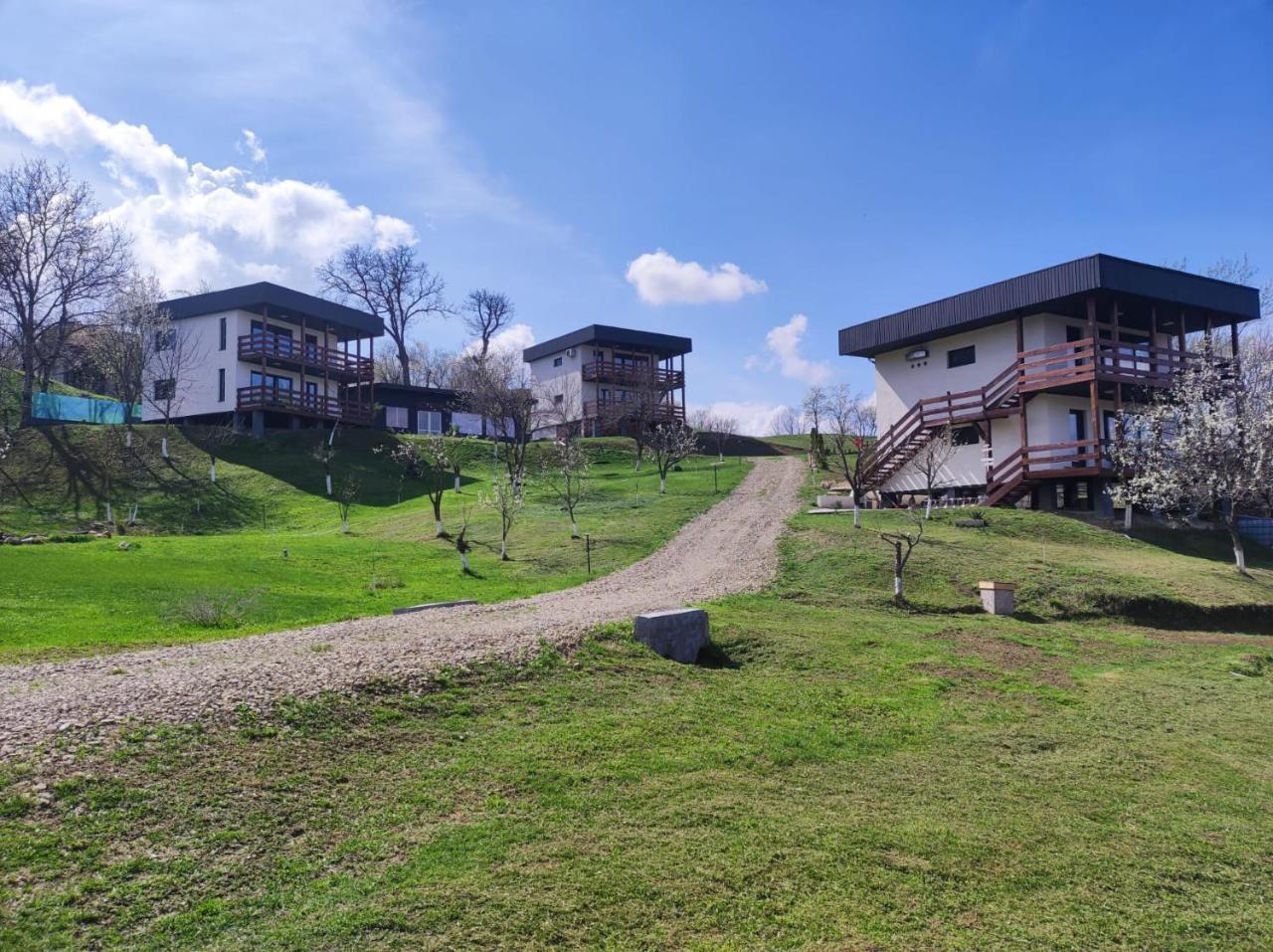 Zen Apartments