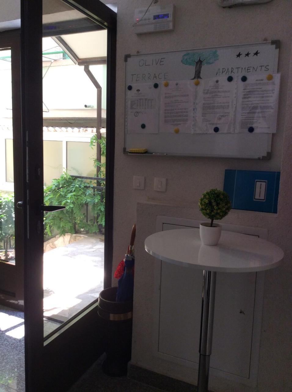 Olive Terrace Apartments 3