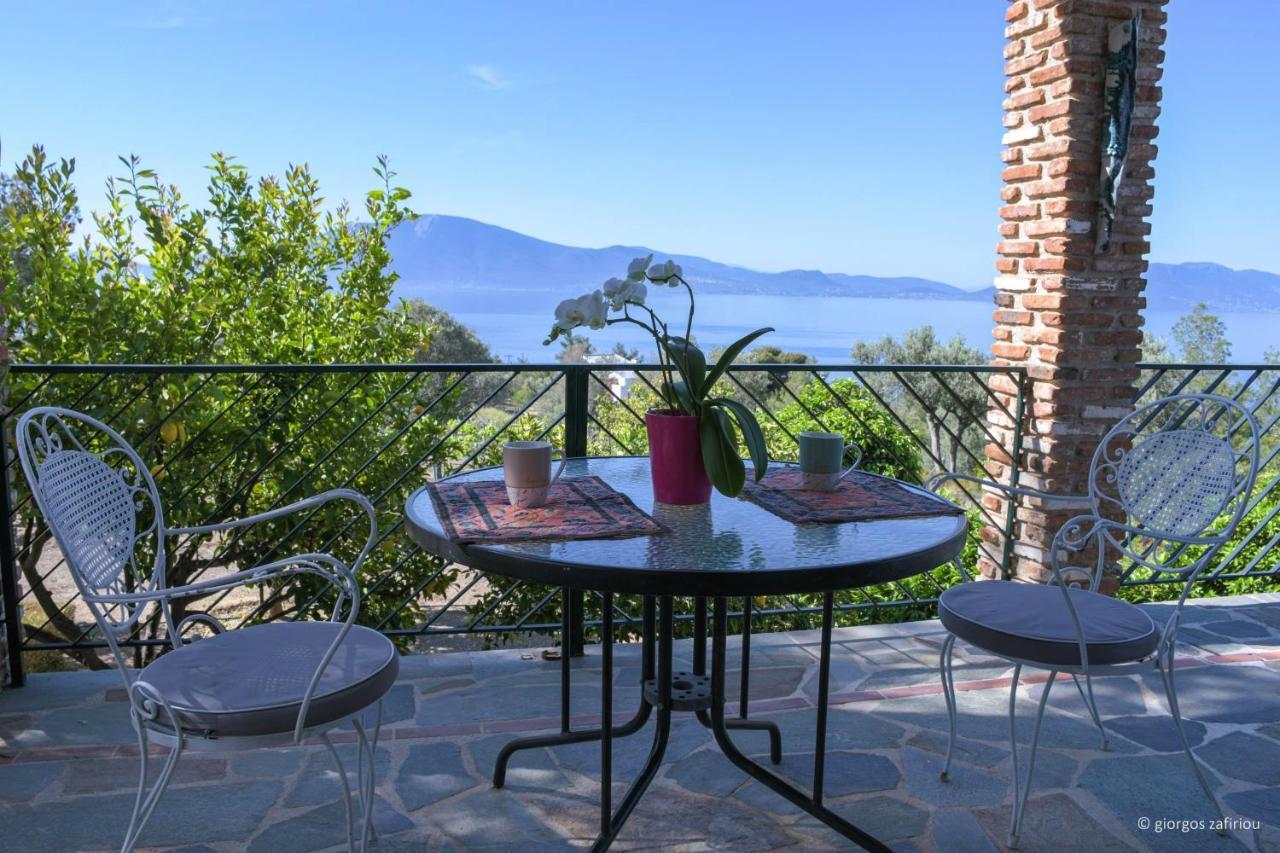 Nerotrivia Villa Ocean Panorama & Lush Gardens
