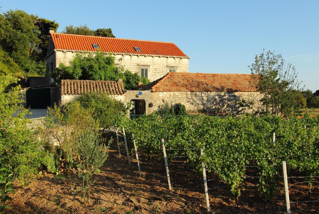 Villa Violic