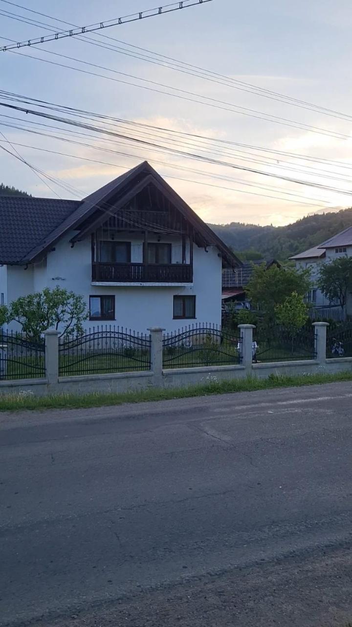 Casa Darius-filip