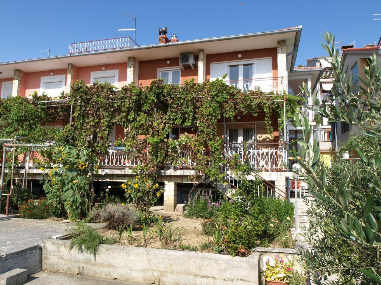 Apartments Darinka Beg