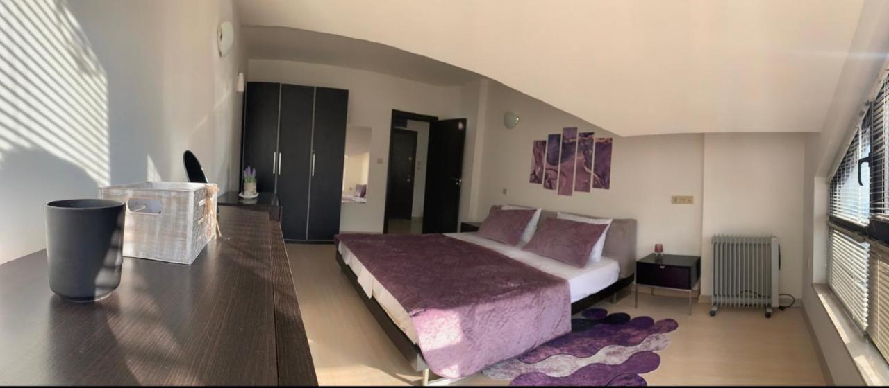 Central Art Apartment In Bansko With Mountain View
