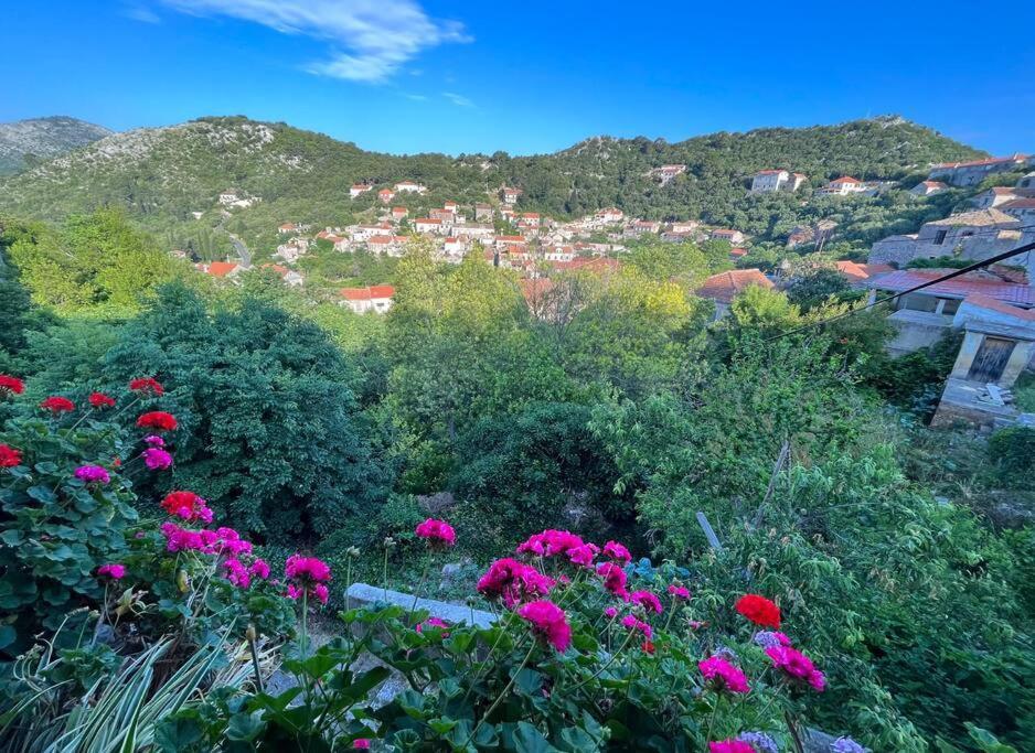 Studio Apartman Ana