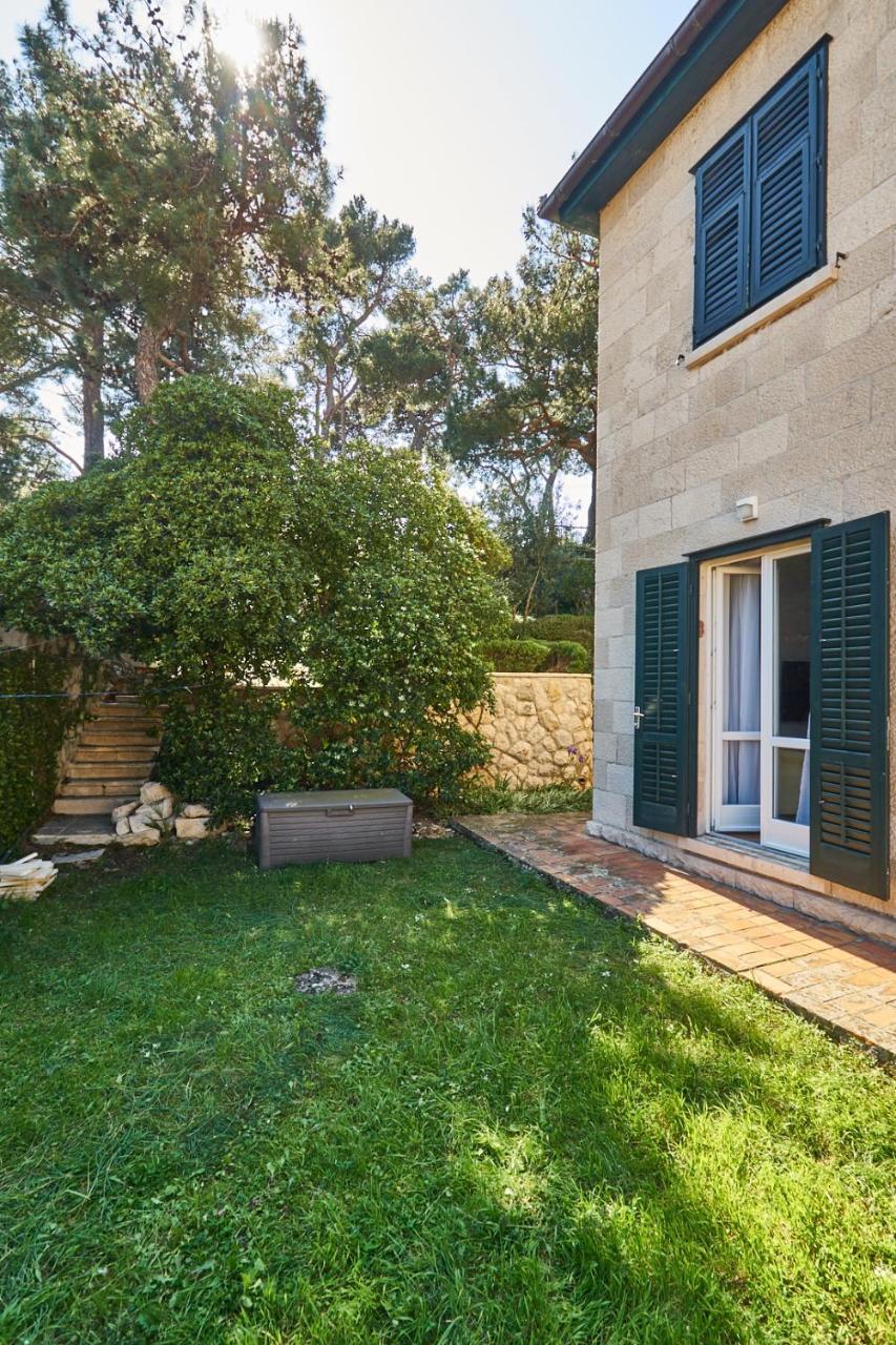 Parkside Oasis Apartment