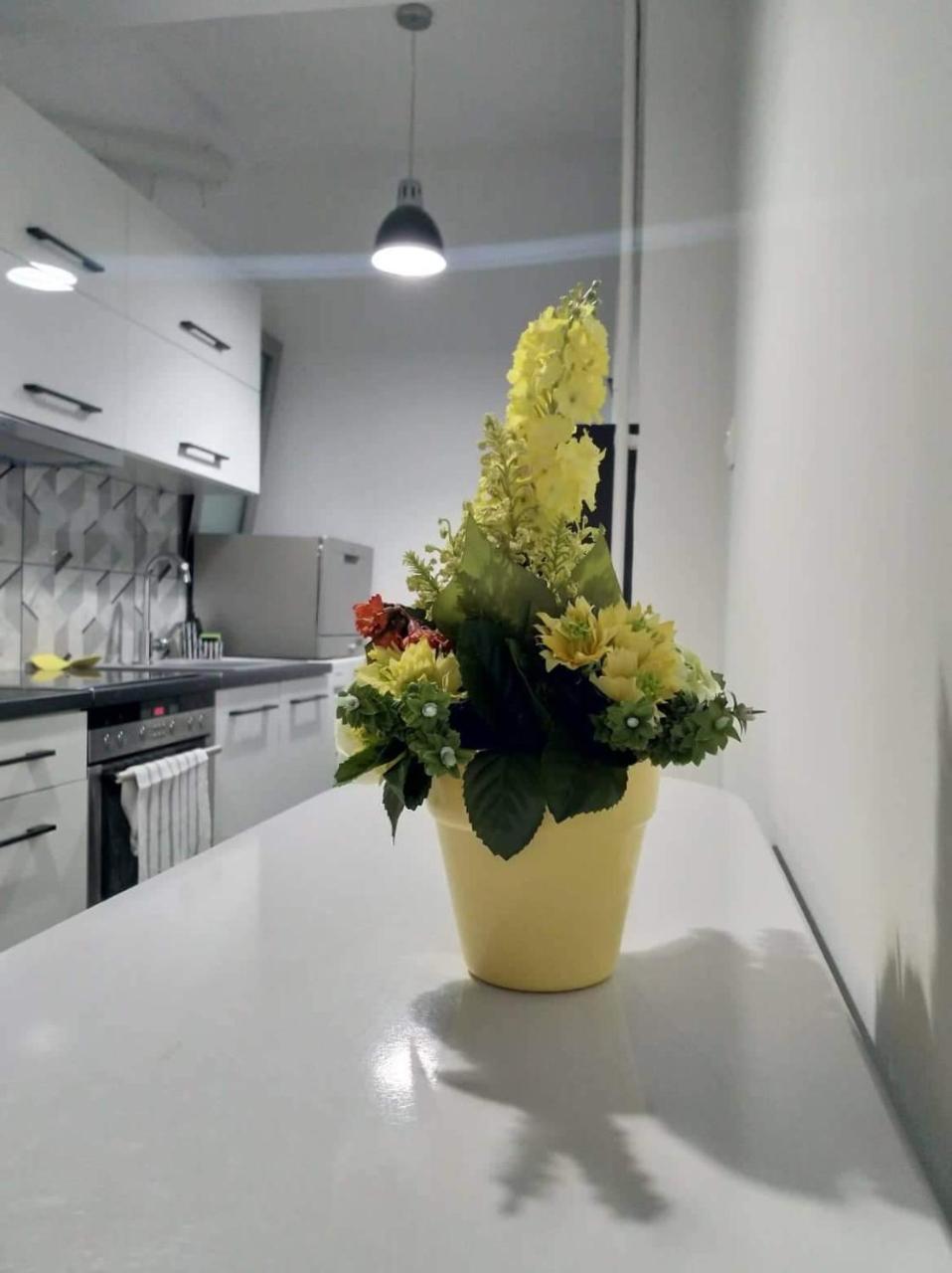 A Convenient Apartment In The Heart Of Athens