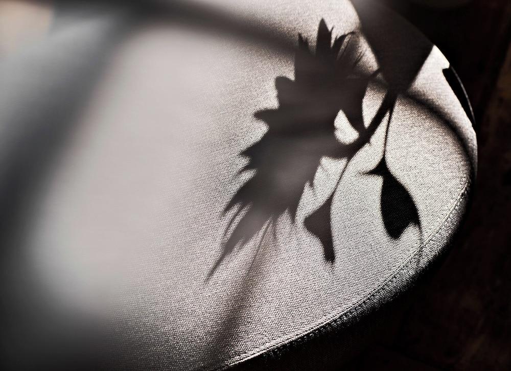 Hideauts Hotels Villa R