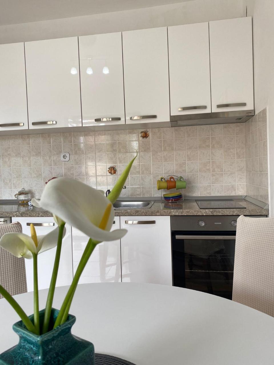 Studio Apartment Novak