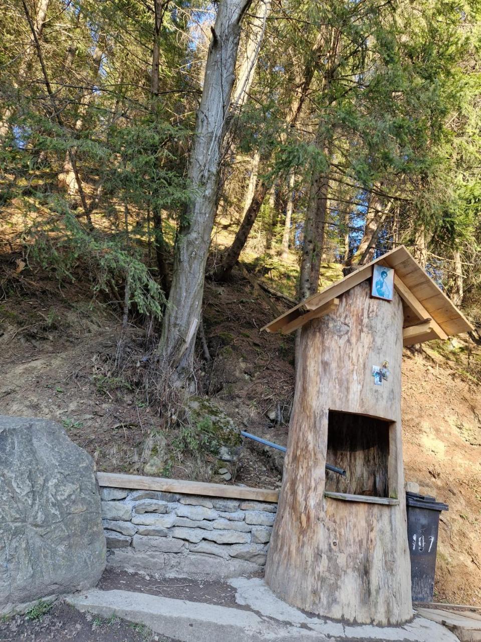 Cabana Izvorul Miclausa