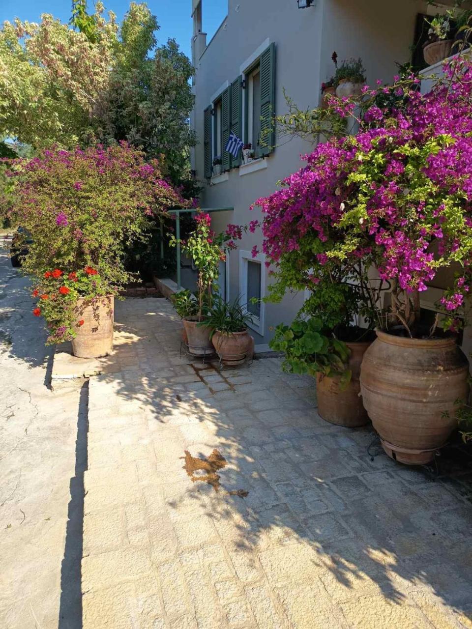 Bookamvillia Apartment