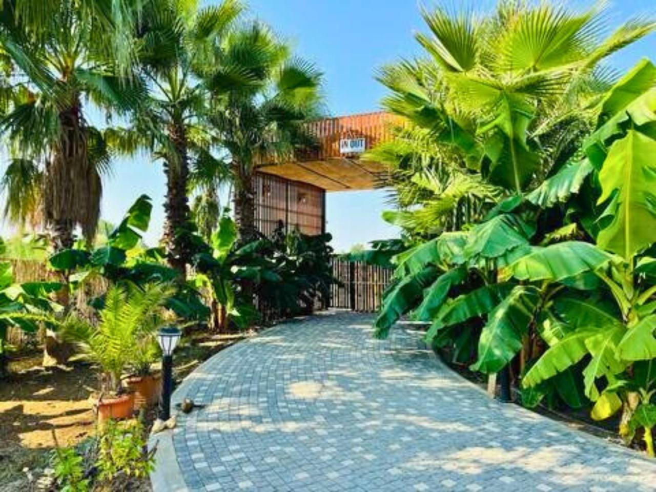 In Out Glamping Resorts Antalya