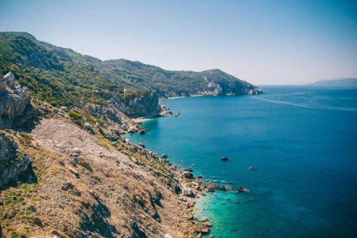Olea Appartment