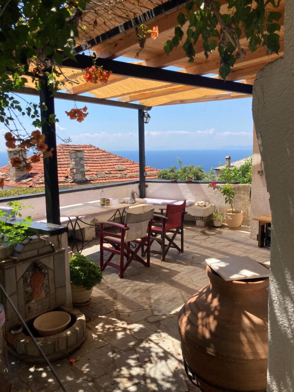 Lemon Garden With View