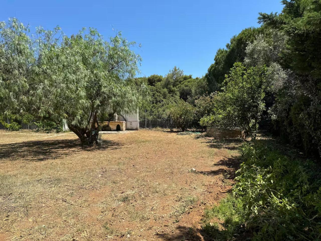 Schinias Forest Beach House