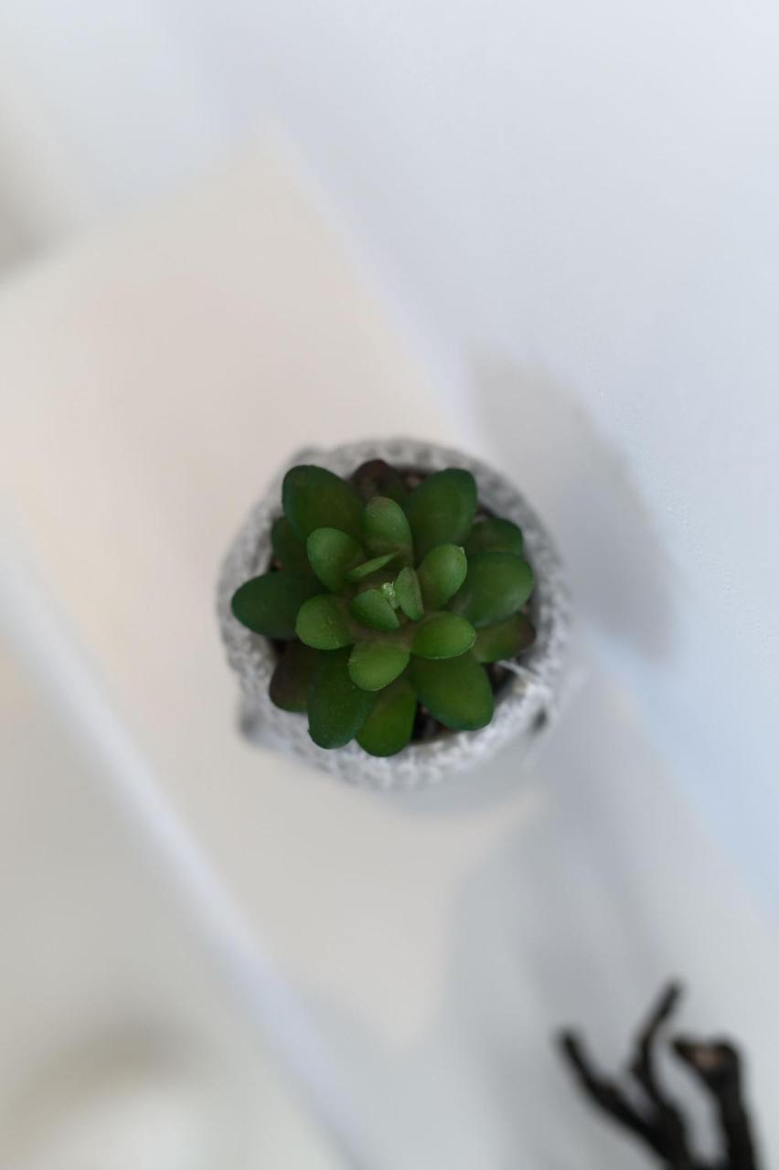 Naxos Kastraki Beauty Flat Villa