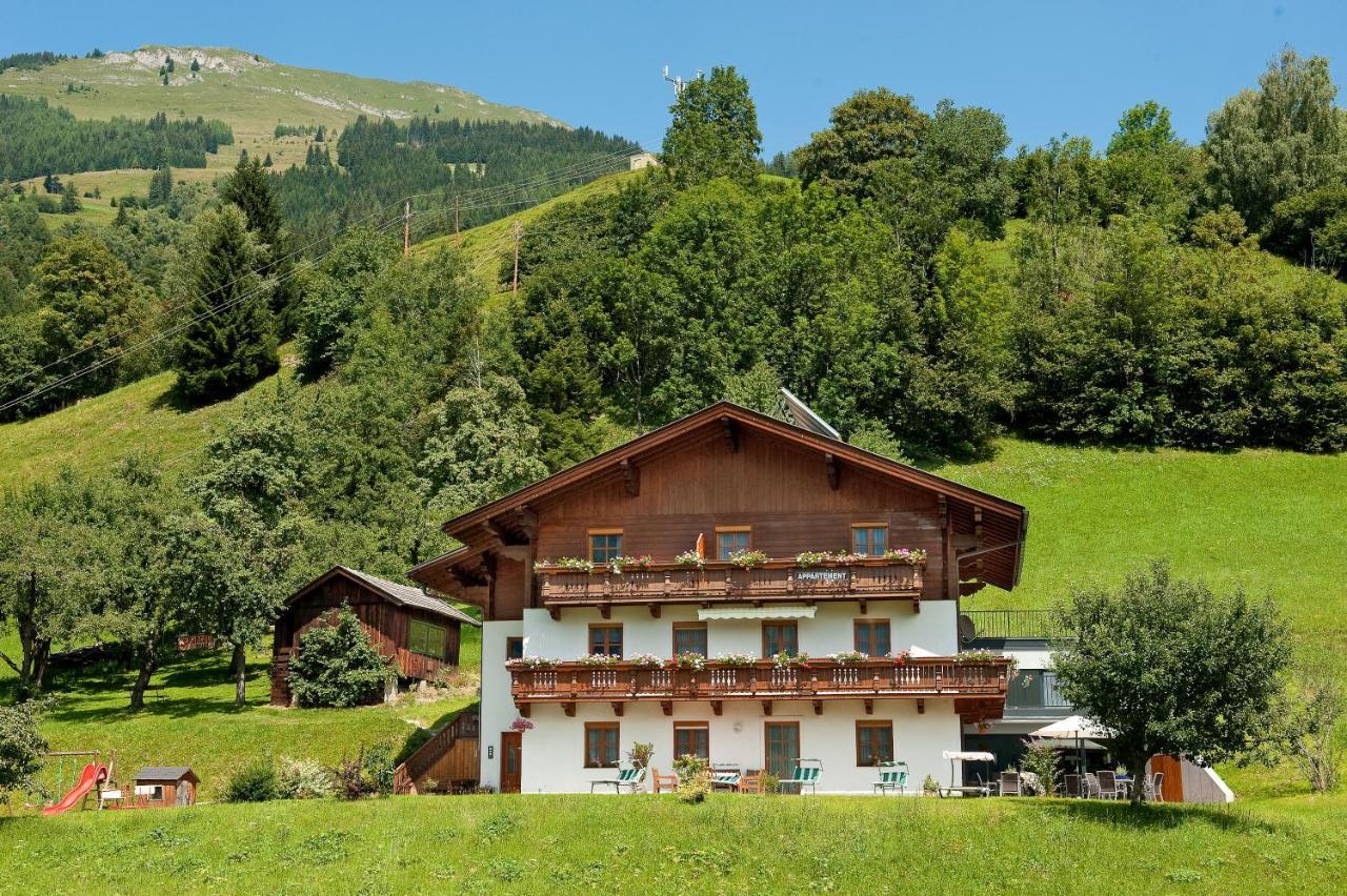 Ferienwohnung Hartlbauer In Dorfgastein