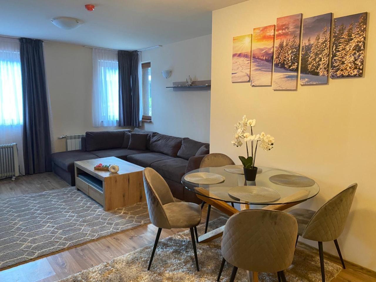 Pamporovo Mountain Apartment