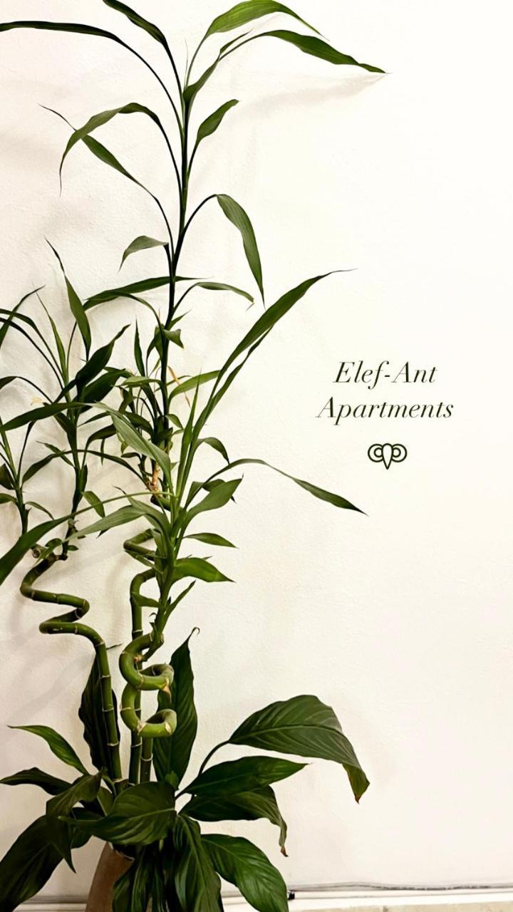 Elef-ant Apartment