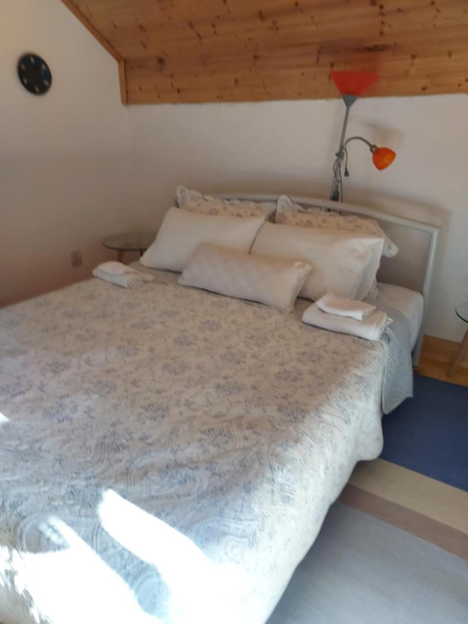 Case de Inchiriat Corina