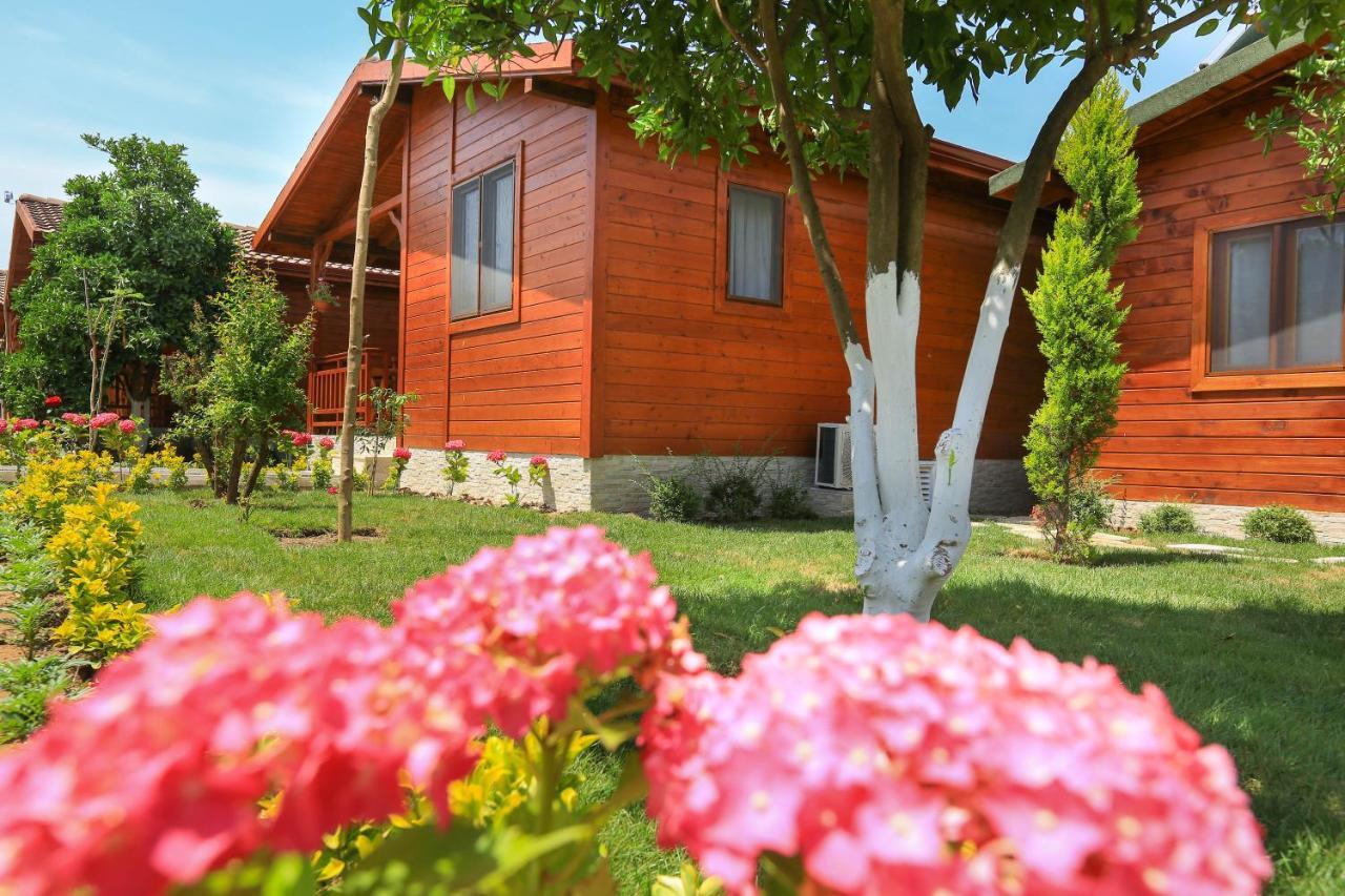 Merry Bungalow & Tent